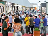 Vitória Stone Fair_